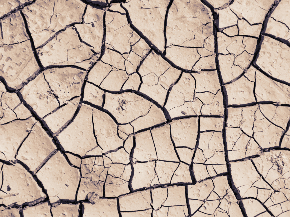 Why Is my hair breaking? Understanding the causes and solutions