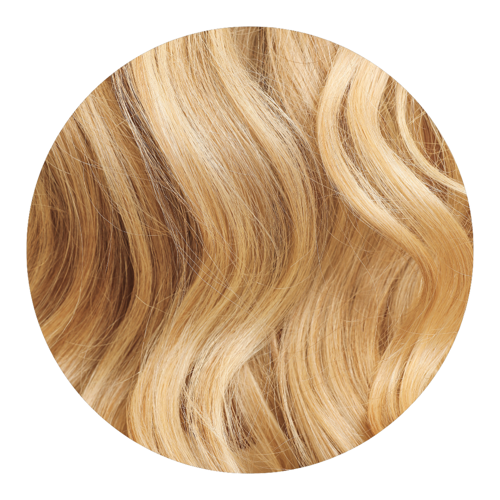 
                  
                    GOLDEN MACADAMIA
                  
                
