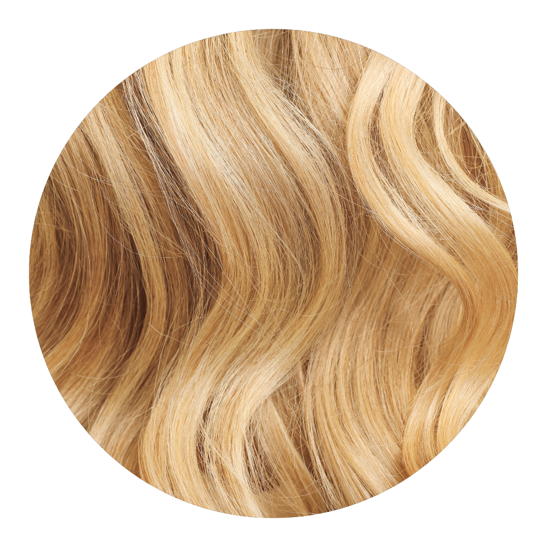 
                  
                    GOLDEN MACADAMIA
                  
                