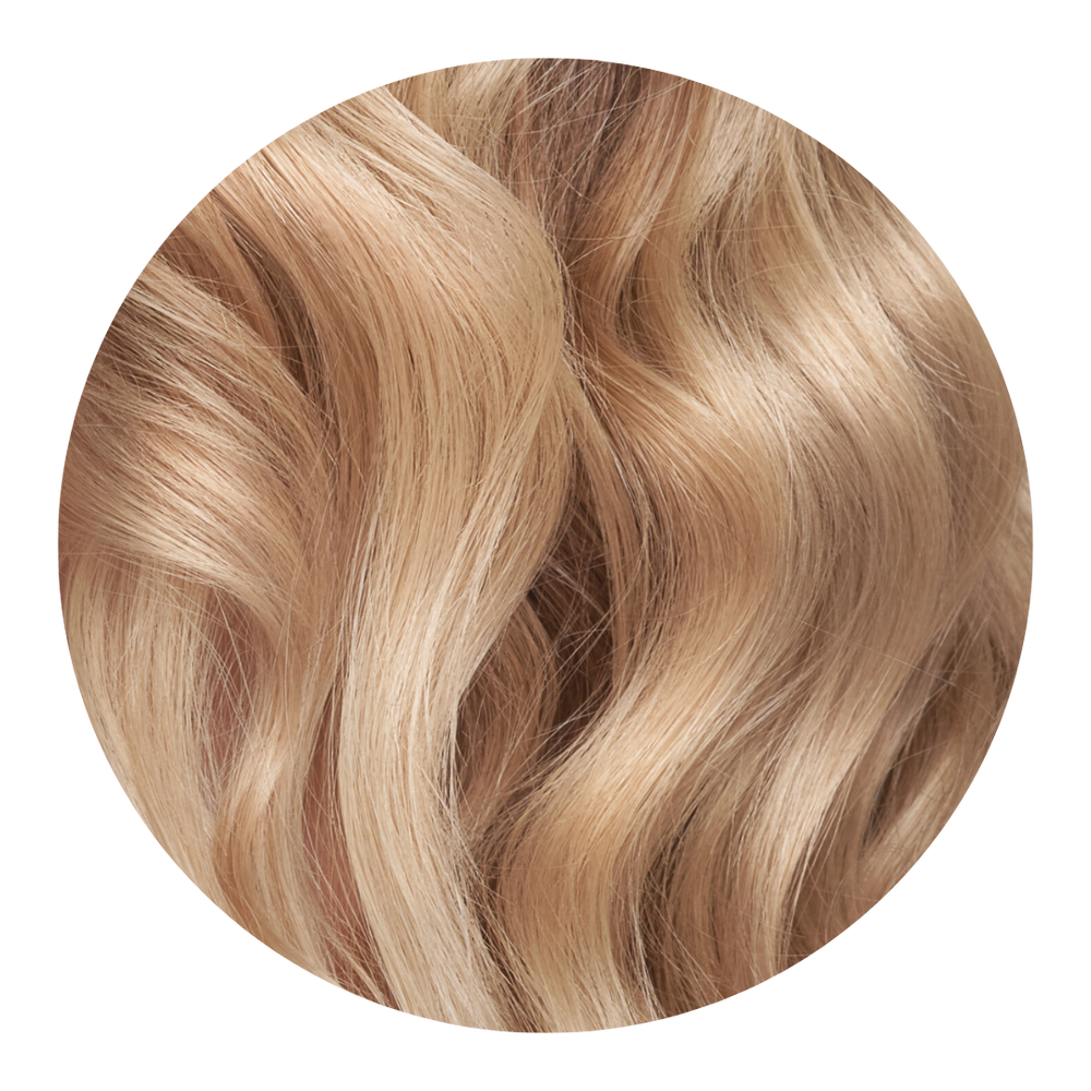
                  
                    CHAMOMILLE
                  
                