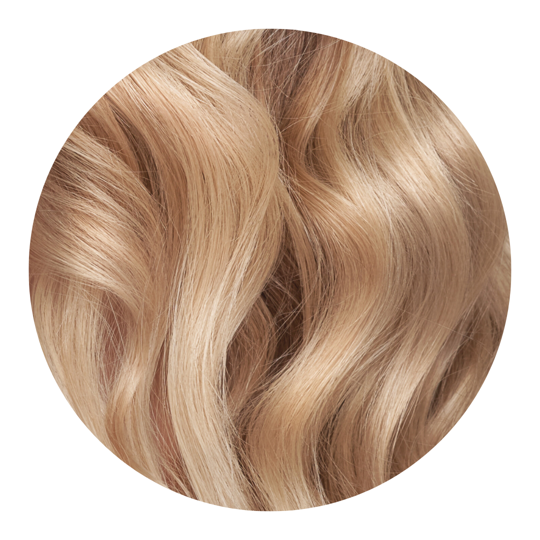 
                  
                    CHAMOMILLE
                  
                