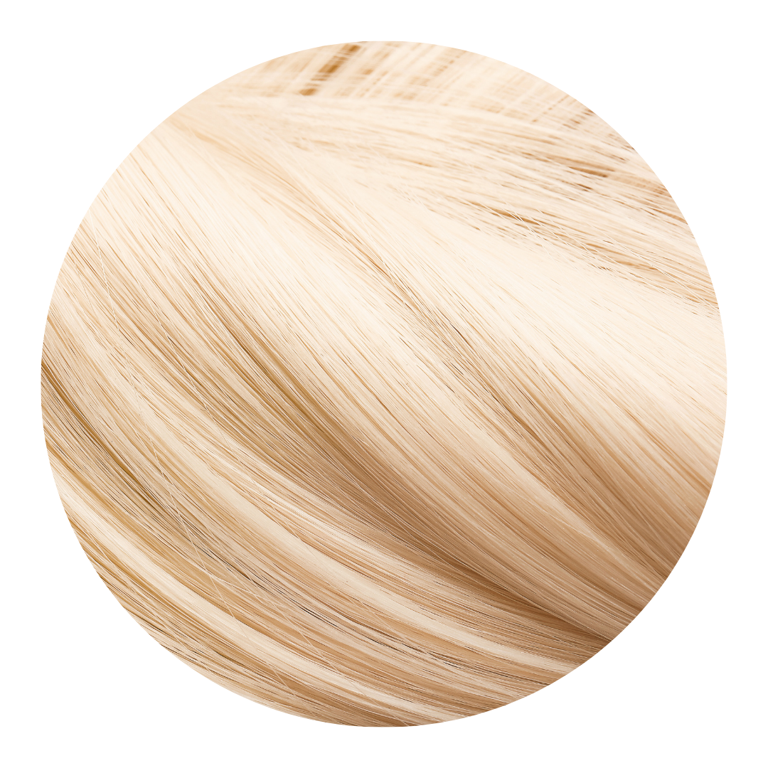 
                  
                    VANILLA
                  
                
